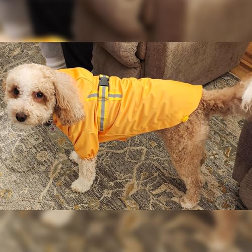 Dog Raincoats for Large Dogs (Solid Yellow / L(Back 18.1", Chest 25.5", Neck 18"))