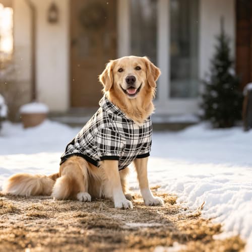 Plaid Dog Hoodie (XX-Large / Black & White)