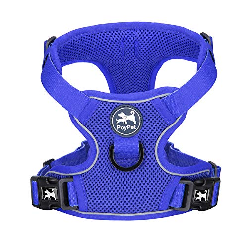 Mesh Dog Harness (S / Royal Blue)