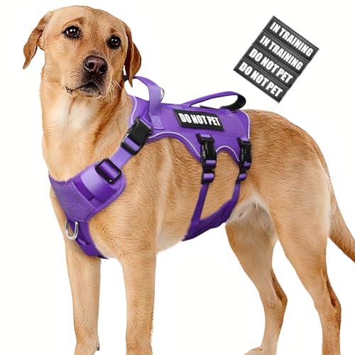 Escape Proof Dog Harness with Double Handle+4 Removable Patches (X-Large / Purple)