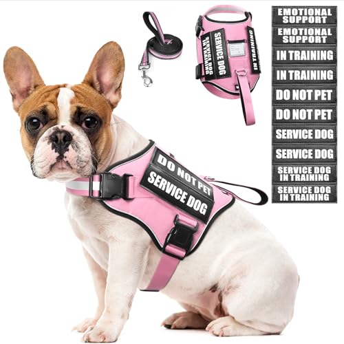 Service Dog Harness and Leash Set (Medium / Pink)
