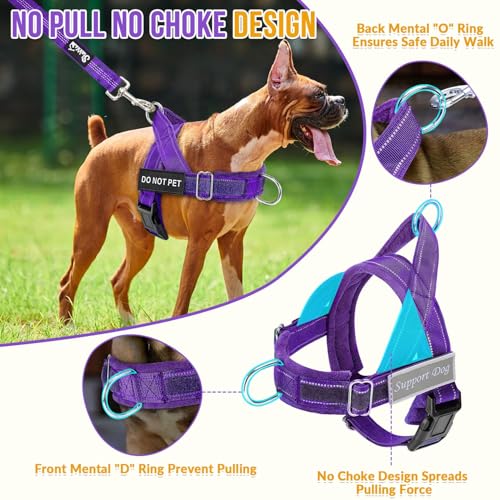 No Pull Dog Harness and Leash Set (Purple / Large)