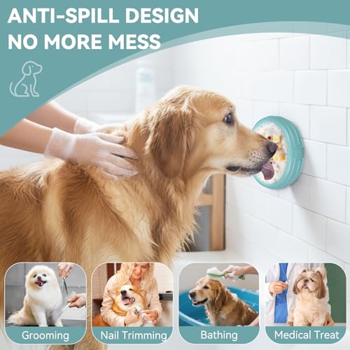 Dog Lick Bowl (L / Teal)