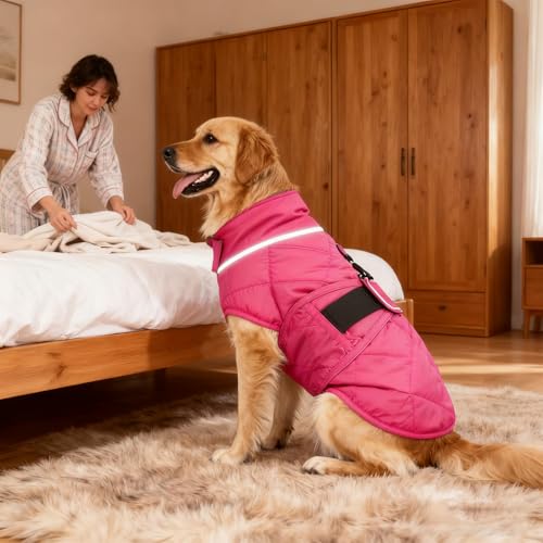 Weighted Dog Vest (Red / Small)