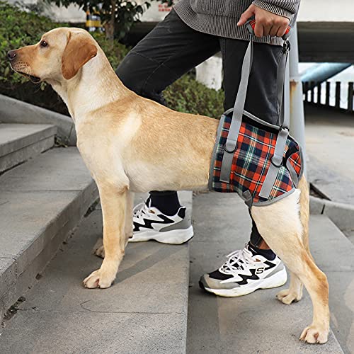 Dog Lift Harness (Small / Hind Legs-Orange)