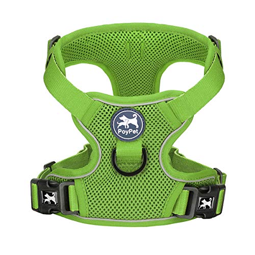 Mesh Dog Harness (L / Grass Green)