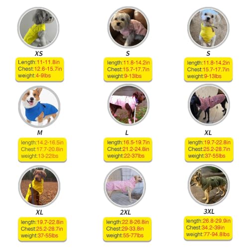 Adjustable Waterproof Dog Raincoat for Dogs (Gold Cheery Blossoms Pink / Small(9-13lb))