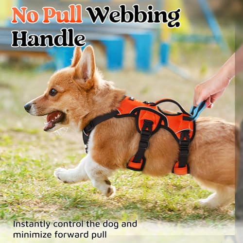Escape Proof Dog Harness for Small (Orange / Small)