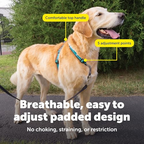 Easy Walk 3 in 1 No Pull Dog Harness (Teal / Large (Pack of 1))