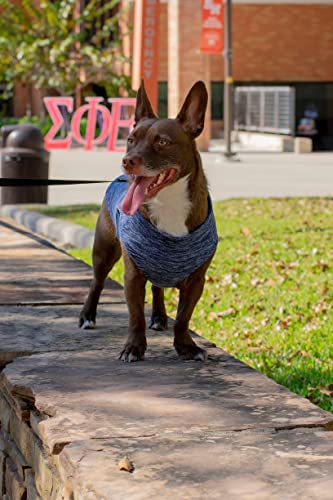 Zip Up Fleece Dog Sweater (Large chest (~20") / Gray Wash)