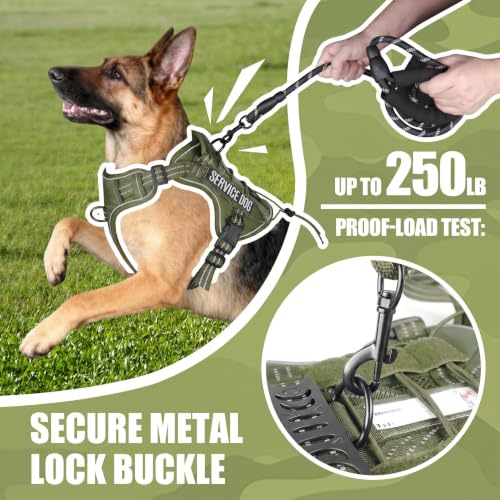 Dog Harness and Leash Set for Medium Dogs (Army Green / M)