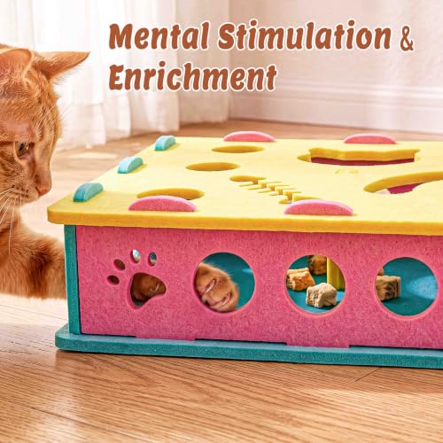 21 Pcs Interactive Cat Toys for Indoor Cats (Modern (only puzzle box))