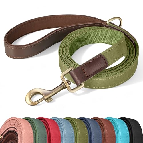 PU Leather Dog Leash for Medium Dogs (Olive Green / 3/4''x 5FT)