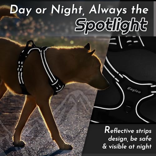 Dog Harness for Medium Sized Dogs (Medium / Black)