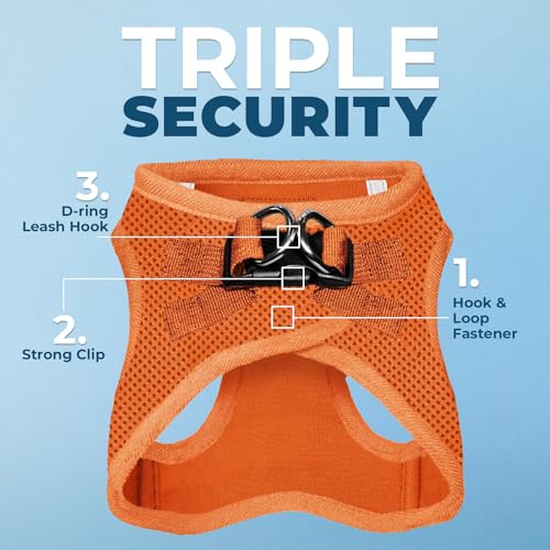 Voyager Step in Air All Weather Mesh Harness and Reflective Dog 5ft Leash Combo with Neoprene Handle (Harness Leash Set (Orange) / XL (Chest: 20.5 - 23"))