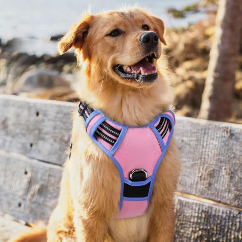 Dog Harness for Large (Light Pink & Blue / X-Large)