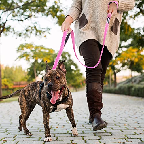 4FT Heavy Duty Dog Leash with Soft Padded Double Handle (4 FT x 1 in Wide / Pink)