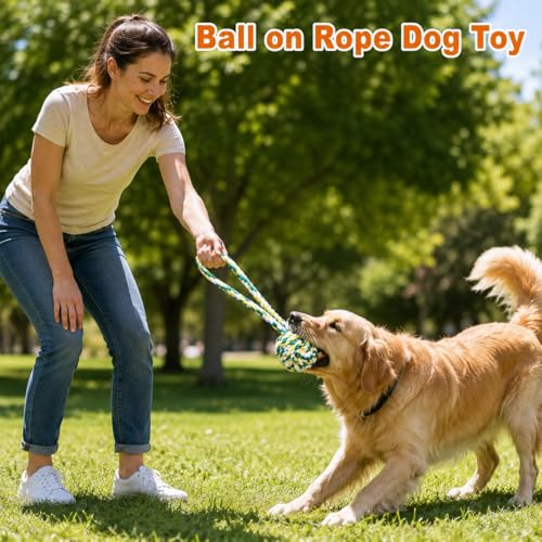 Large Dog Toys for Aggressive Chewers (8 Pack-Large)