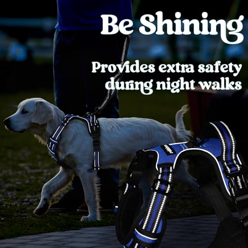 Dog Harness for Large (Large / Blue)
