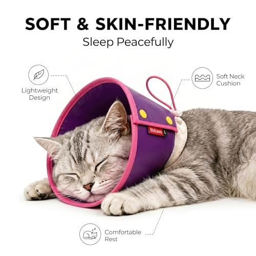 Soft Dog Cone Collar for Dogs & Cats (Purple / S)