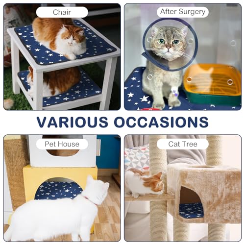 4 Pack Self Warming Cat Bed Self Heating Cat Mat Star Pattern Soft Dog Crate Pad Thermal Pet Mat Anti Slip Kennel Dog Washable Warming Bed for Outdoor Indoor (18 x 18 Inch / Blue)