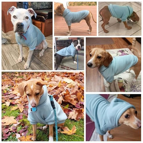 Dog Hoodie for Large Dogs (#2 Blue(Plain) / XX-Large (All Breed Sizes))