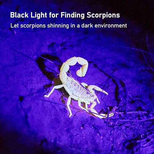 UV Flashlight Black Light (100LED)