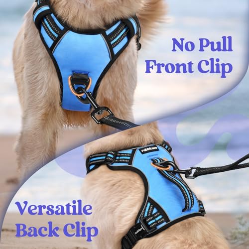 Large Dog Harness (Medium / Light Blue)