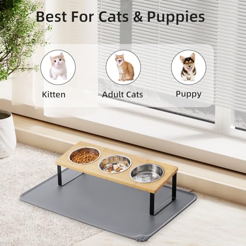 Upgraded Elevated Cat Bowls with Food Mat