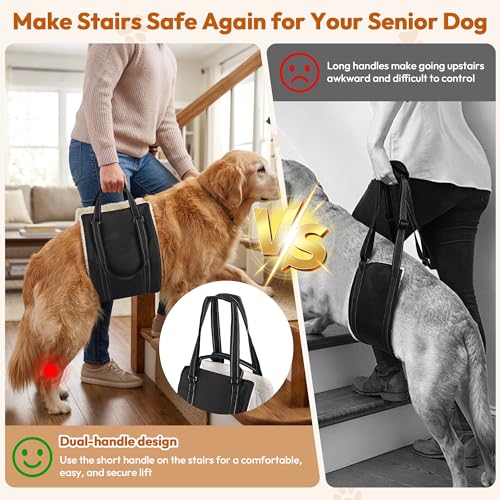 Adjustable Dog Lift Harness for Large & Medium Sized Dogs (black / S)