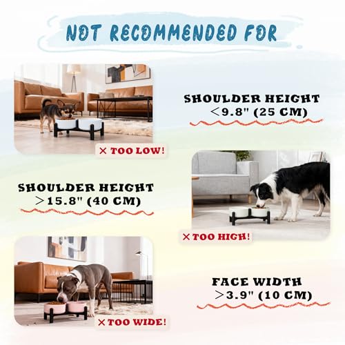 Elevated Ceramic Dog Bowl Set (Yellow / 1.4 Cups)