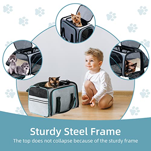 Cat Dog Airline Approved Expandable Pet Carrier for Small Pets (43.0"L x 32.0"W x 12.0"H)