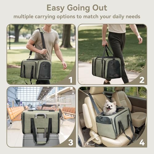 Large Expandable Cat Carrier for Travel (19"L x 12"W x 12"H / Green)