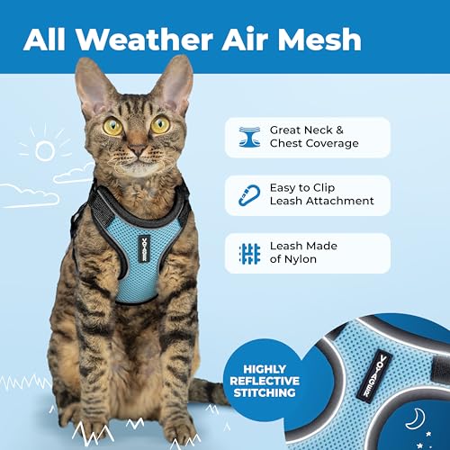 Voyager Escape (Black Trim-Baby Blue (327) / XXS (Chest: 11.5 - 14"))