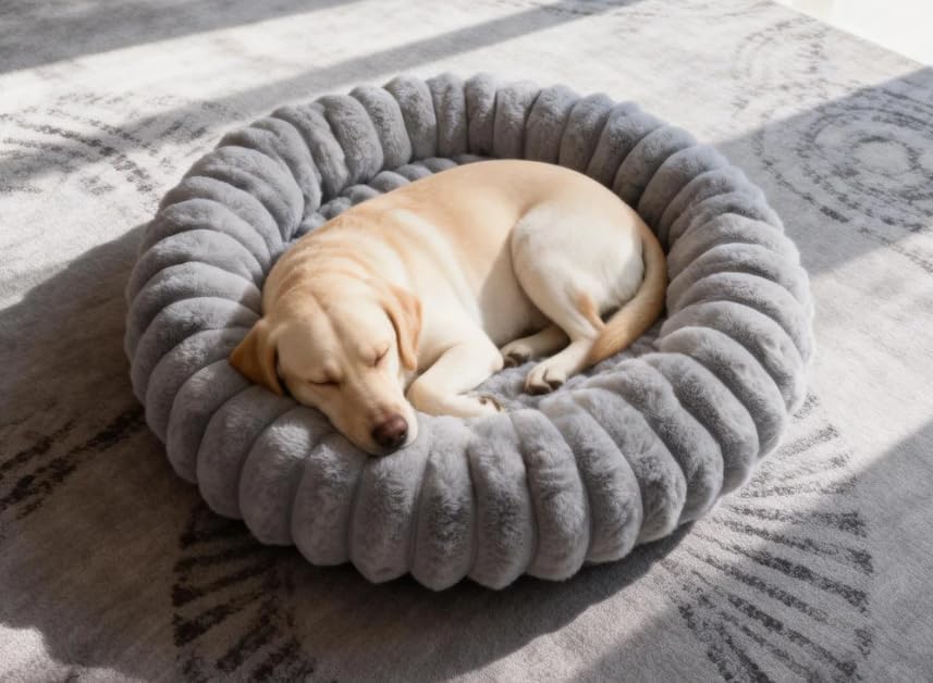 Donut Dog Beds Medium Large Size Dog Washable Pet Bed (Grey / L(31*31*8))