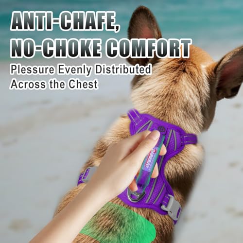Dog Harness for Small Sized Dog No Pull Dog Vest ID Tag Pocket (Purple / Small)