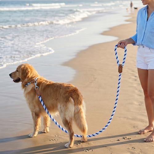 Rainbow Dog Leash Braided Cotton Rope w Leather (Blue Gradient / 72 Inch-1/2")