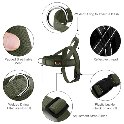 No Pull Dog Harness for Large Dogs (XL: chest 29.5"-39.4" / Ranger Green)