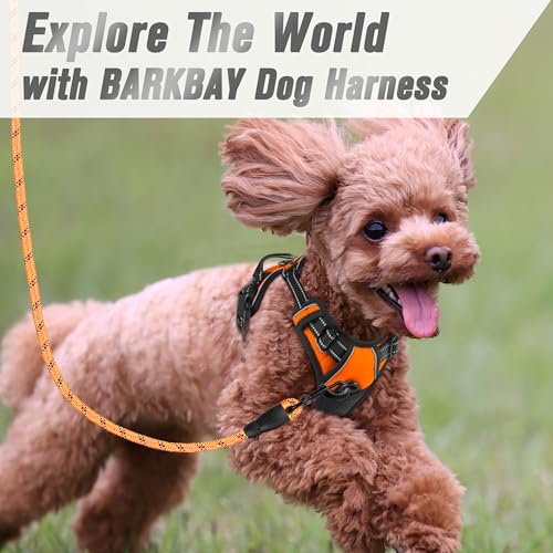 Dog Harness No Pull for Small Sized Dog Front Back Clips (X-Small(Chest:15.5-19.5”) / Orange)