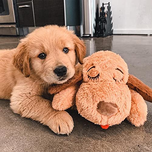 Snuggle Puppy Essentials Starter Kit (Neutral)