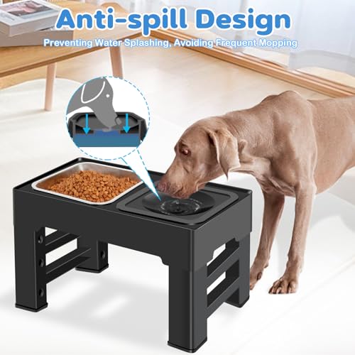 Elevated 2 in (Stainless Steel Food Bowl)