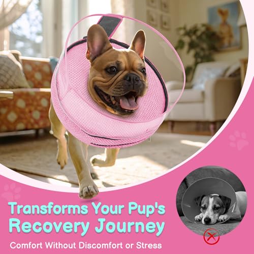 Inflatable Dog Cone with Clear Shield for Added Coverage (Pink / M (Neck: 8"-11"))
