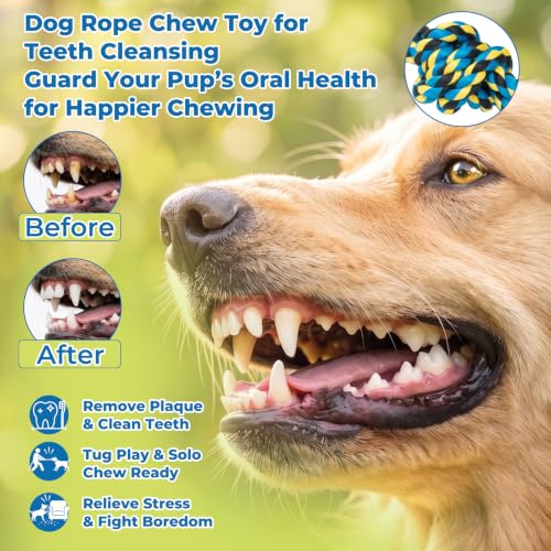 40 Inch Dog Rope Toy for Aggressive Chewers