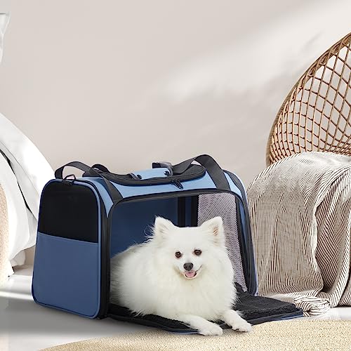 Dog Carrier for Small Dogs (Large / Blue)