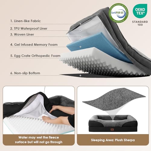 Orthopedic Dog Bed for Medium Dog (Grey/Black / 35x22x6.5)