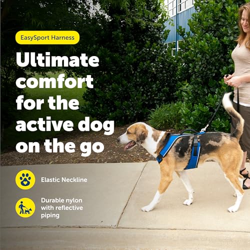 EasySport Dog Harness (Medium / Blue)
