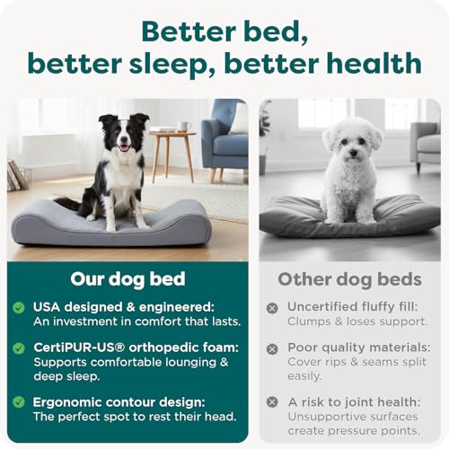 Orthopedic Dog Bed for Large Dogs (Large / Gray)