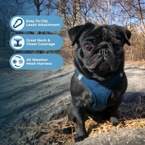 Voyager Step in Air All Weather Mesh Harness and Reflective Dog 5ft Leash Combo with Neoprene Handle (Harness Leash Set (Blue) / XL (Chest: 20.5 - 23"))