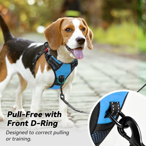 No Pull Dog Harness Large with Front Clip & Neck Release Buckle (Large / Blue)