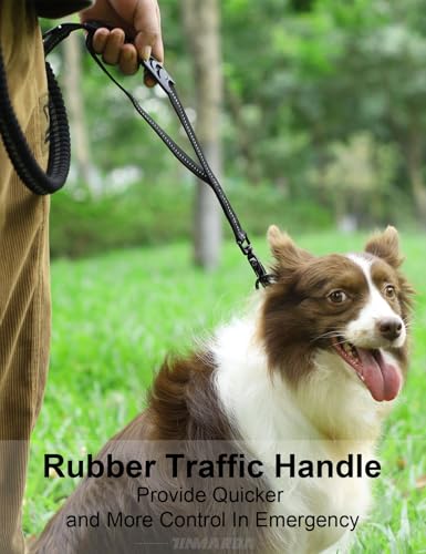 Heavy Duty Dog Leash (Black)